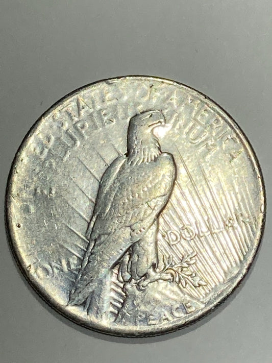 1925 PEACE DOLLAR- 90% SILVER 26.57 GRAMS - Goldstar Mint
